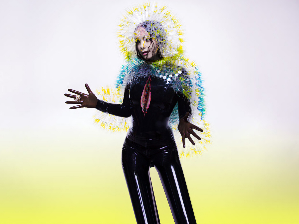 Björk-Vulnicura