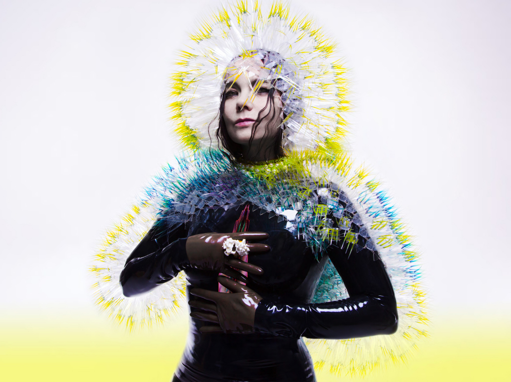 Björk-Vulnicura2