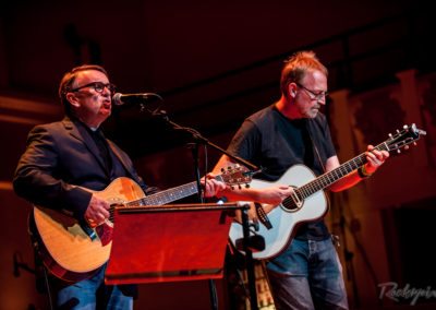 Under The Apple Tree Roots Festival