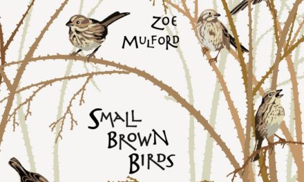 Zoe Mulford – Small Brown Birds