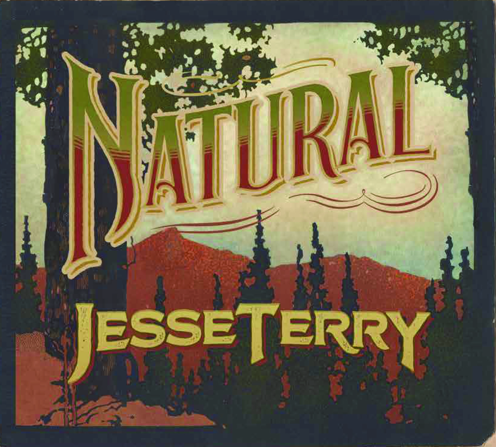 Jesse Terry