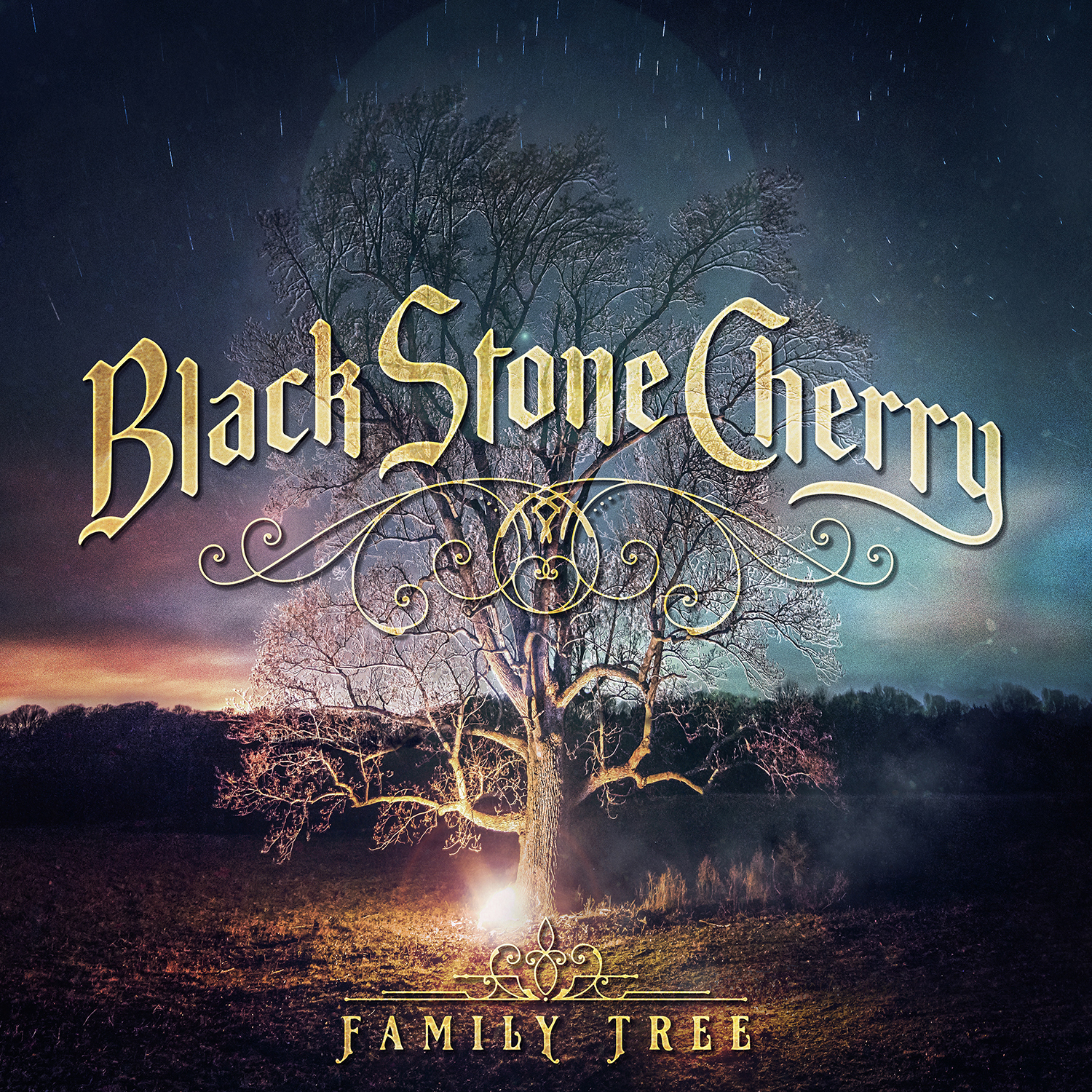 Black Stone Cherry