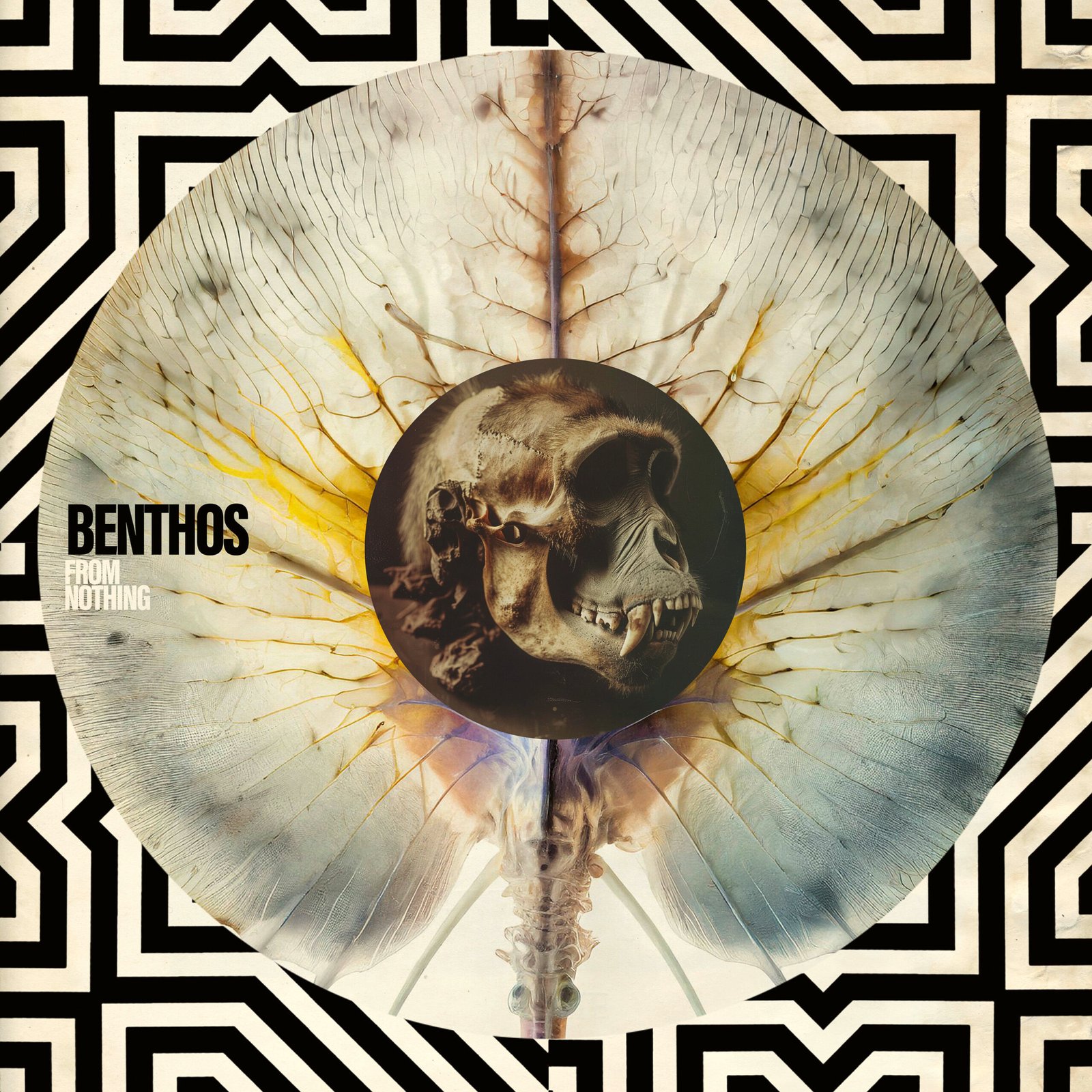 Benthos_FromNothing cover Benthos