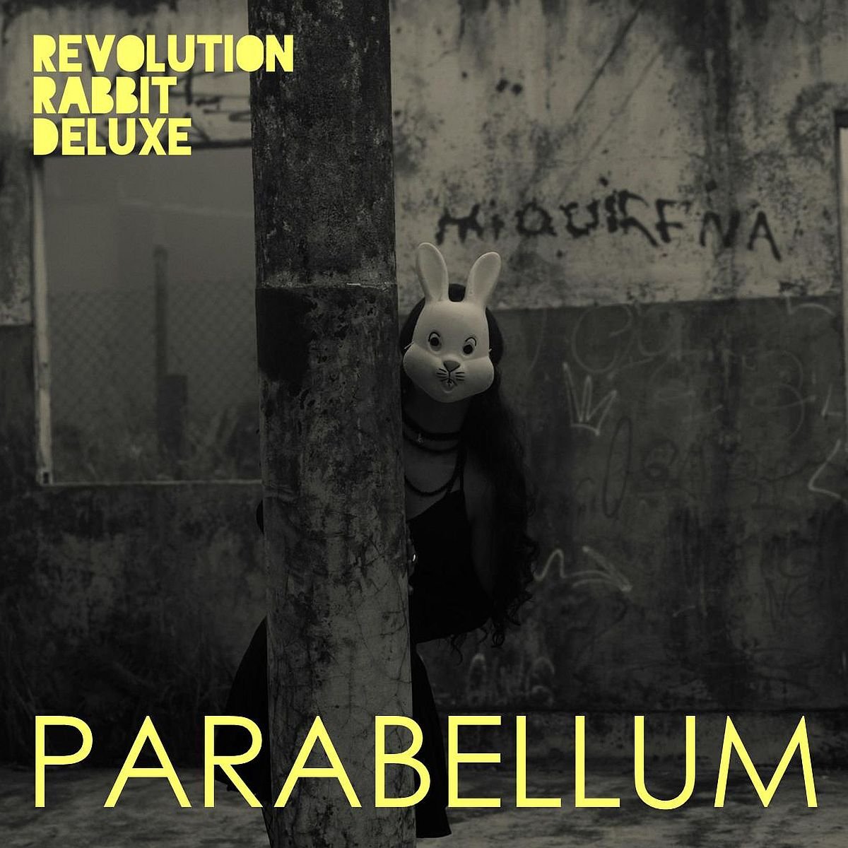 Revolution Rabbit Deluxe Cover Artwork Revolution Rabbit Deluxe