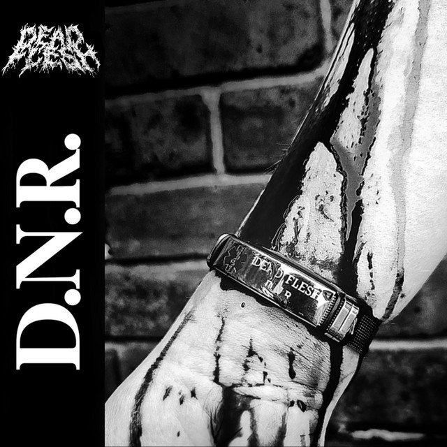 DNR Artwork Dead Flesh