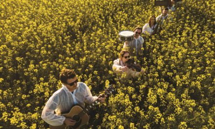 Pavey Ark Talk Second Album, Musical Influences And More