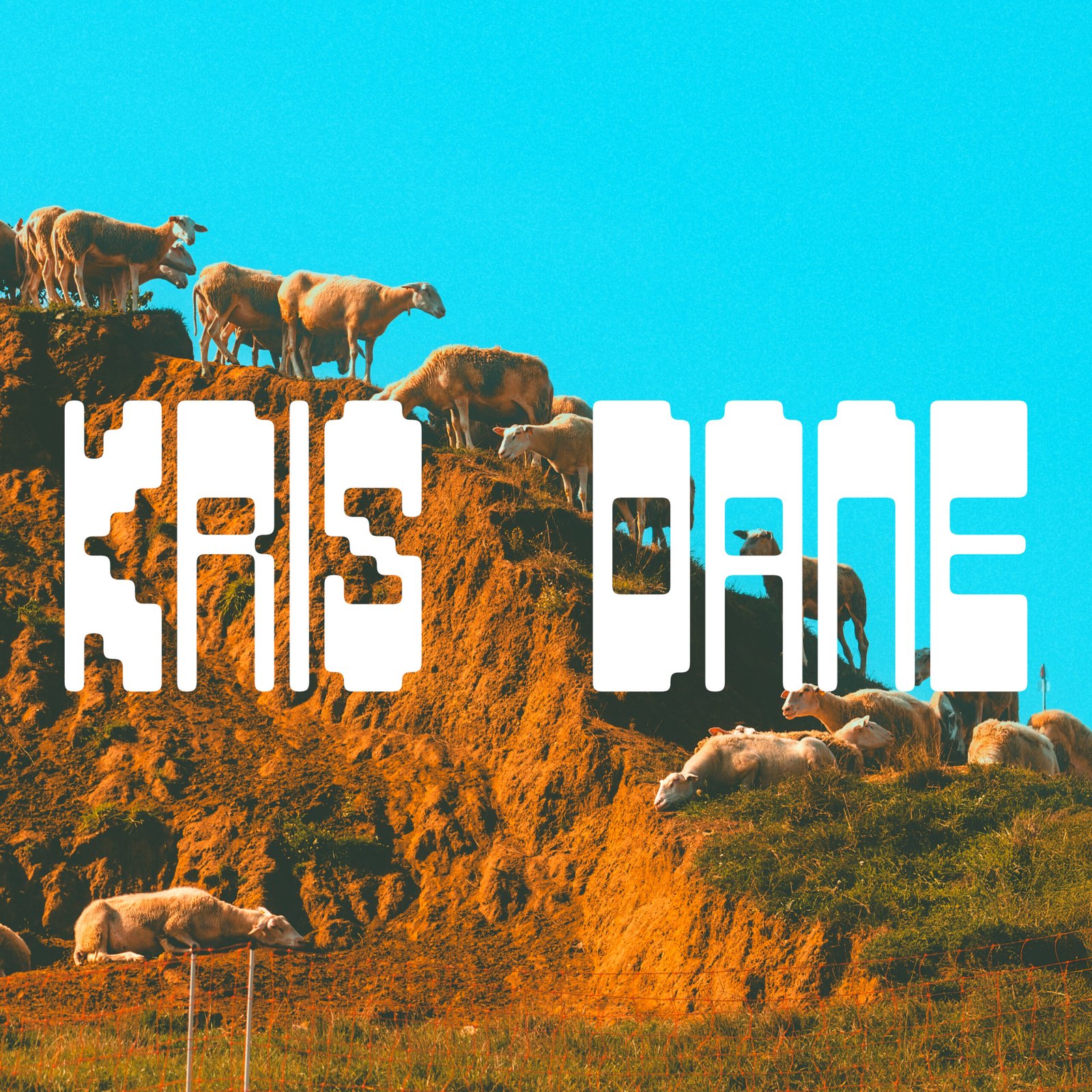 Kris Dane